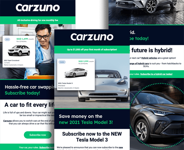 Purposeful content. Email marketing for Carzuno
